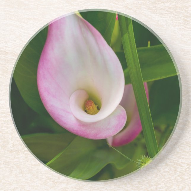 Calla Roll Getränkeuntersetzer (Vorne)