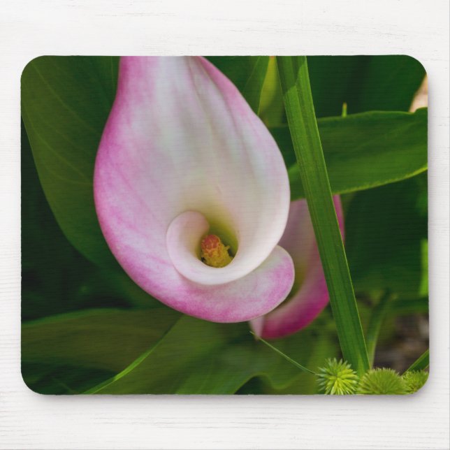 Calla Roll Mousepad (Vorne)
