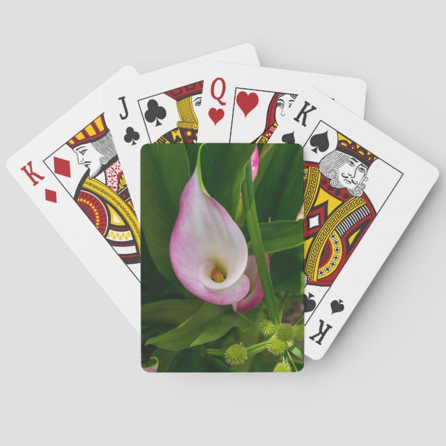 Calla Roll Spielkarten (Rückseite)