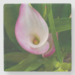 Calla Roll Steinuntersetzer