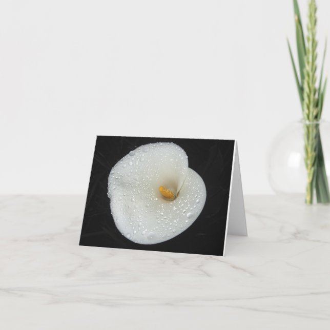 CallaLily nach einer Abendsdusche NoteCard Karte (Vorderseite)