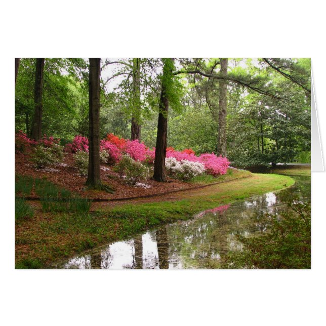 Callaway Stream (Vorderseite (Horizontal))