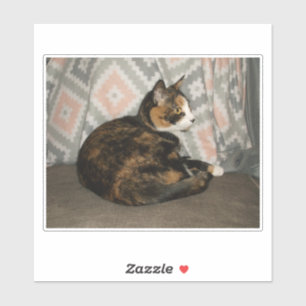 Callie Cat auf Sofa Aufkleber