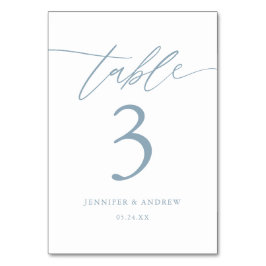 Calligraphy Dusty Blue Wedding Table Cards Tischnummer