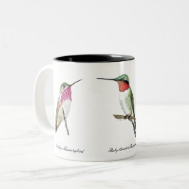 Calliope, Rufous und Ruby-throated Hummingbirds Zweifarbige Tasse