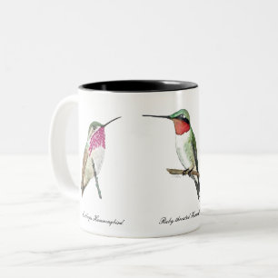 Calliope, Rufous und Ruby-throated Hummingbirds Zweifarbige Tasse