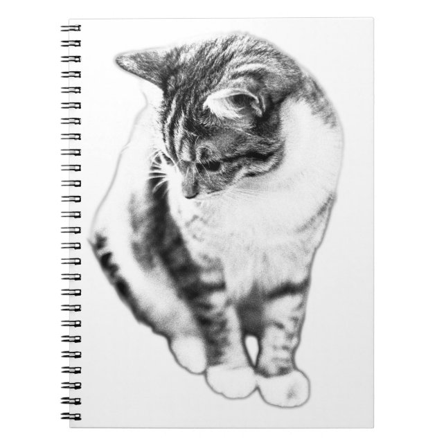 Calm Cat Looking Down Portrait-Notebook Notizblock (Vorderseite)