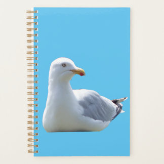 Calm Coastal Seagull Wildlife Nature Journal Planer