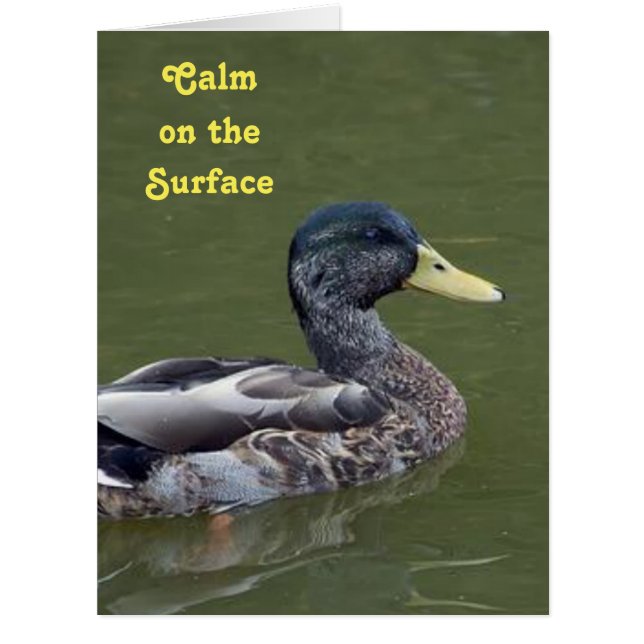 Calm, doch Crazy Duck (Vorderseite)