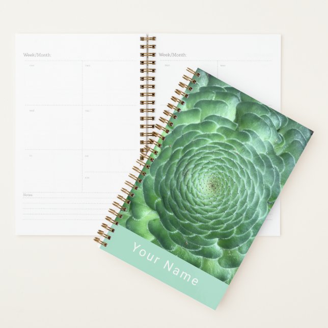 Calm Green sukkulente Pflanze Planer (Anzeige)