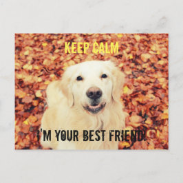CALM Postkarte behalten für Hundeliebhaber