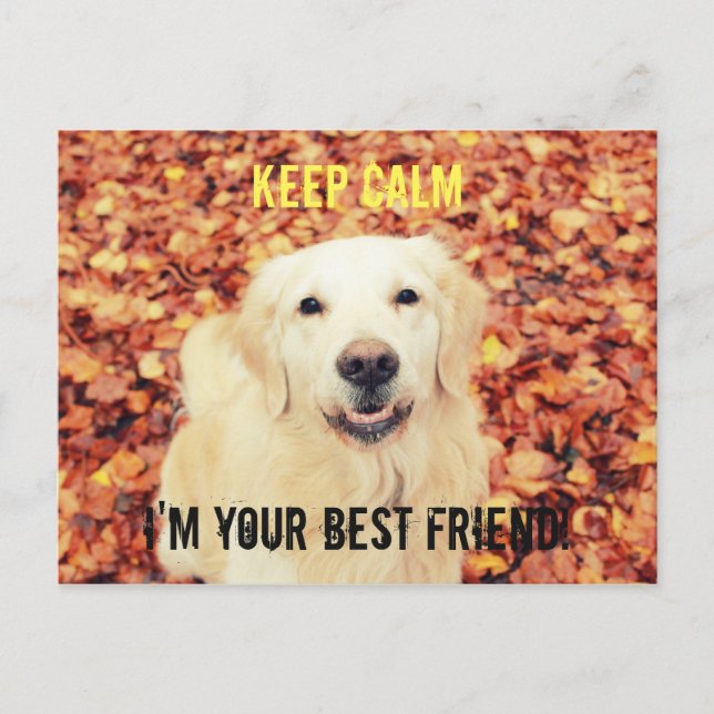 CALM Postkarte behalten für Hundeliebhaber (Vorderseite)
