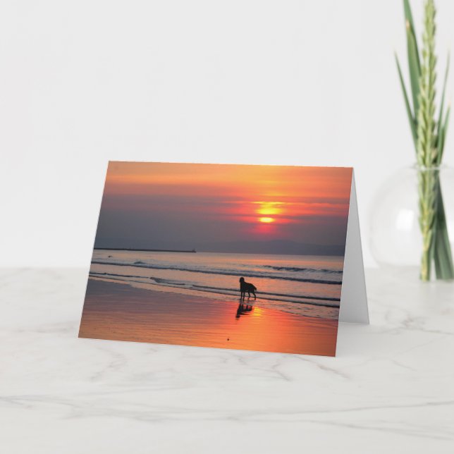Calm Seas & Sunset - Carte de voeux pour l'écritur (Devant)