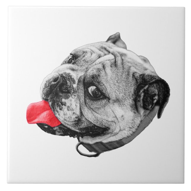 Calm Set with Warmth Fliese (Vorderseite)