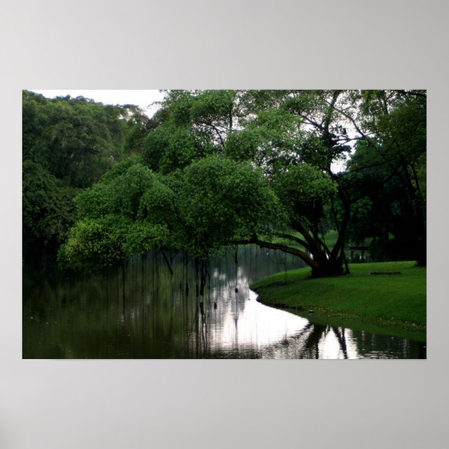 Calm Waters Poster (Vorne)