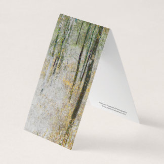 "Calme" - Photo transformée d'arbres dans une forê