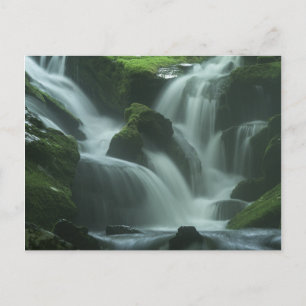 Calming Waterfall Postkarte