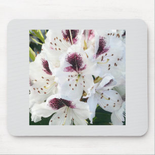 Calsap Rhododendrons Mousepad