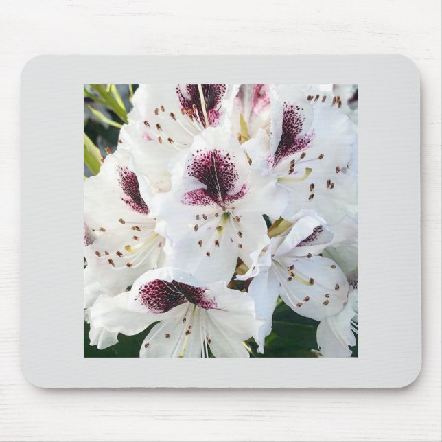 Calsap Rhododendrons Mousepad (Vorne)