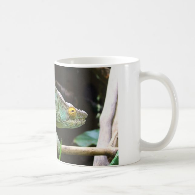 Calumma Parsonii Kaffeetasse (Rechts)