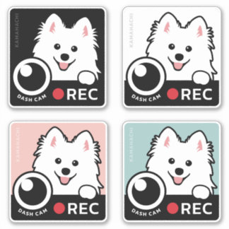 Cam de Dash - Sticker d'enregistrement de chien Sp