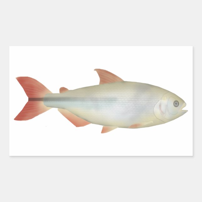 Camapuã Rechteckiger Aufkleber (Vorderseite)