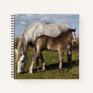 Camargue-Fohlen mit Mutter Notizbuch