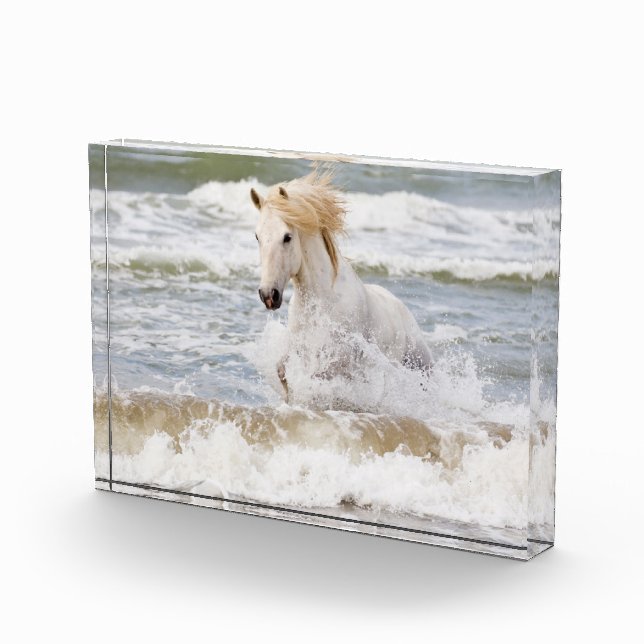 Camargue Horn im Surf Fotoblock (Rechts)