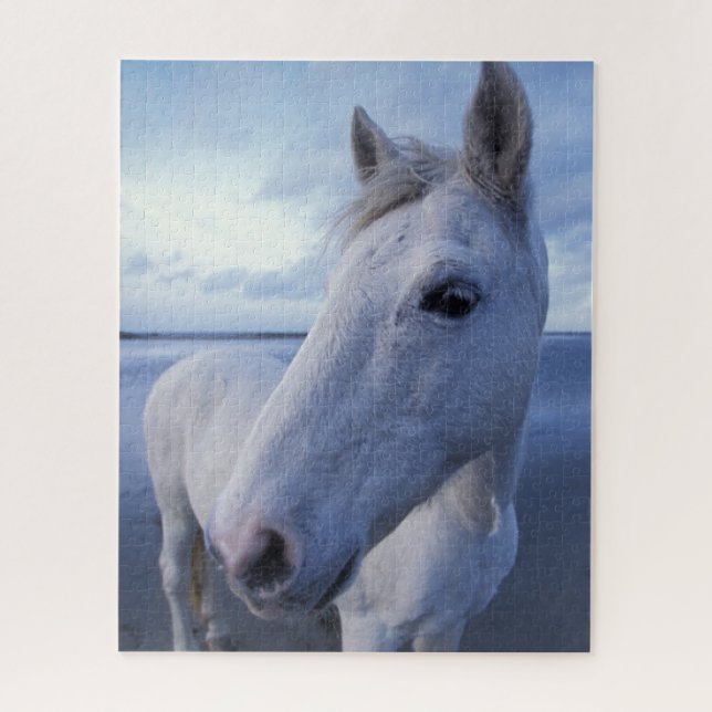 Camargue Horse (Vertikal)