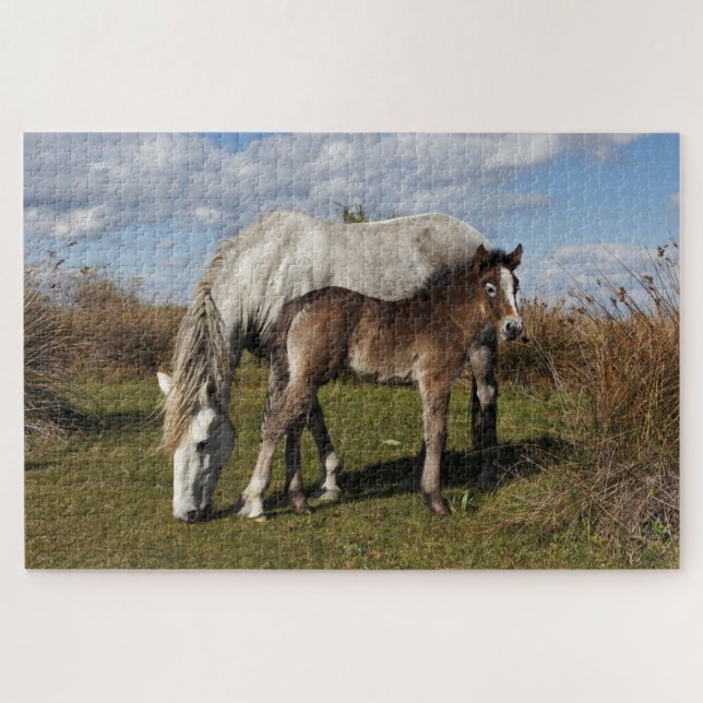 Camargue Horse Foal mit Mutter (Horizontal)