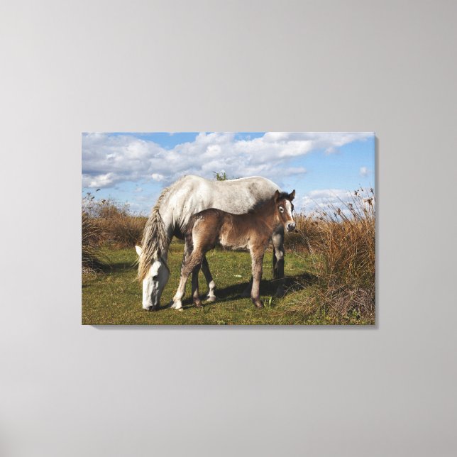 Camargue Horse Foal mit Mutter Leinwanddruck (Vorderseite)