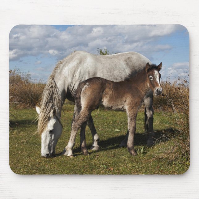 Camargue Horse Foal mit Mutter Mousepad (Vorne)
