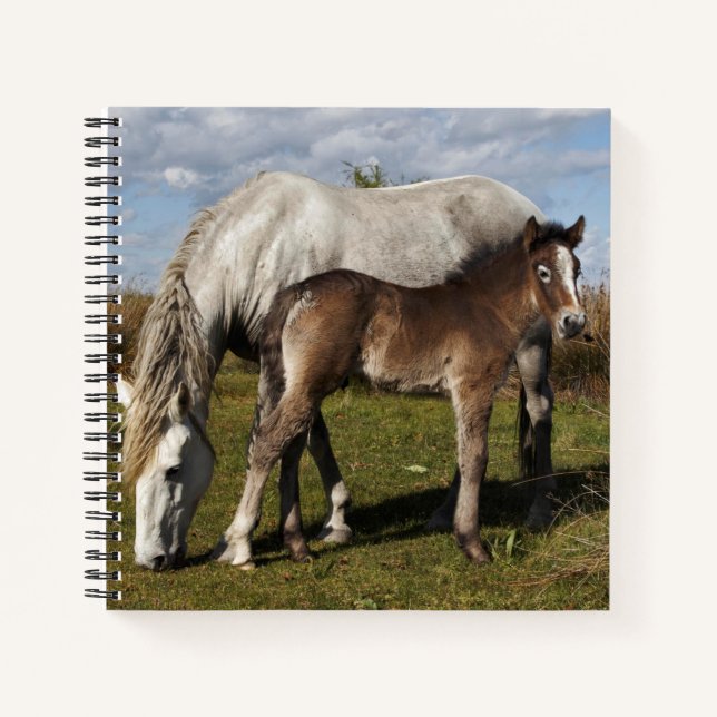 Camargue Horse Foal mit Mutter Notizbuch (Vorderseite)