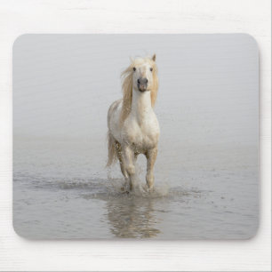 Camargue Horse im Wasser Mousepad