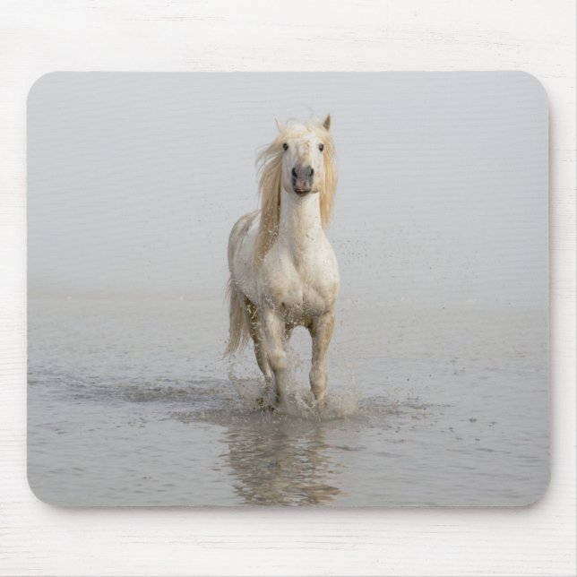 Camargue Horse im Wasser Mousepad (Vorne)