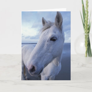 Camargue Horse Karte