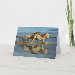Camargue Horses and Reflection, Südfrankreich Karte