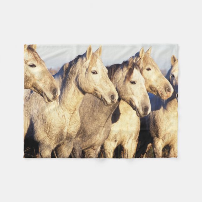 Camargue Horses (Eguus caballus) Fleecedecke (Vorderseite (Horizontal))