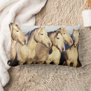 Camargue Horses (Eguus caballus) Lendenkissen
