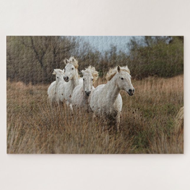 Camargue Horses Running (Horizontal)