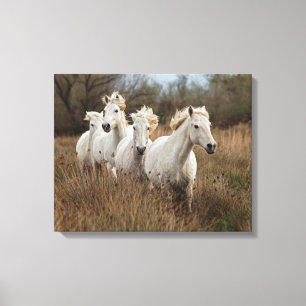 Camargue Horses Running Leinwanddruck
