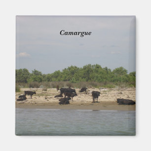 Camargue Magnet