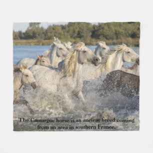 Camargue-Pferd Alte Rasse Frankreichs Reitsport Fleecedecke