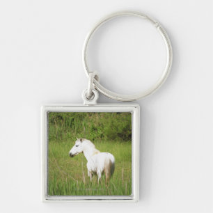 Camargue Pferd im Alpes Cote d'Azur von Schlüsselanhänger