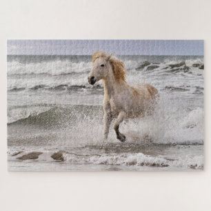 Camargue-Pferd läuft aus der Brandung