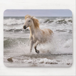 Camargue-Pferd läuft aus der Brandung Mousepad