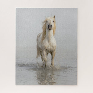 Camargue-Pferd läuft im Wasser