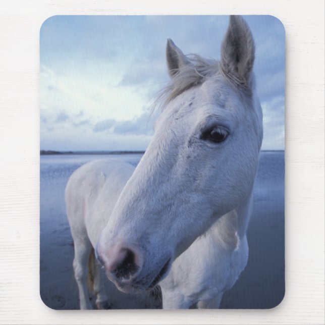 Camargue-Pferd Mousepad (Vorne)