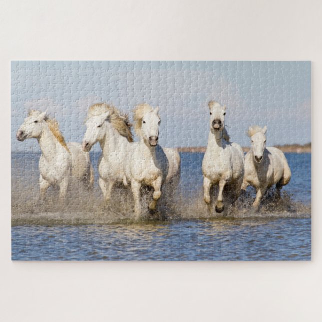 Camargue Pferde (Horizontal)
