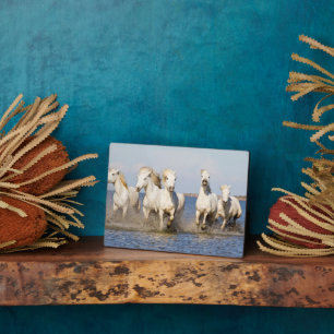Camargue Pferde Fotoplatte